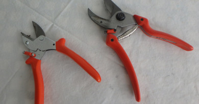 Fall is a Good Time to Sharp Pruners